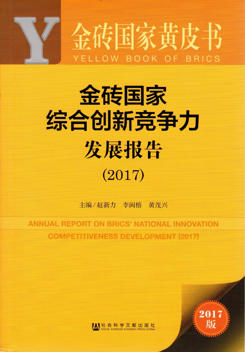 瑟瑟舔揉胸进进出出抽插视频金砖国家综合创新竞争力发展报告（2017）